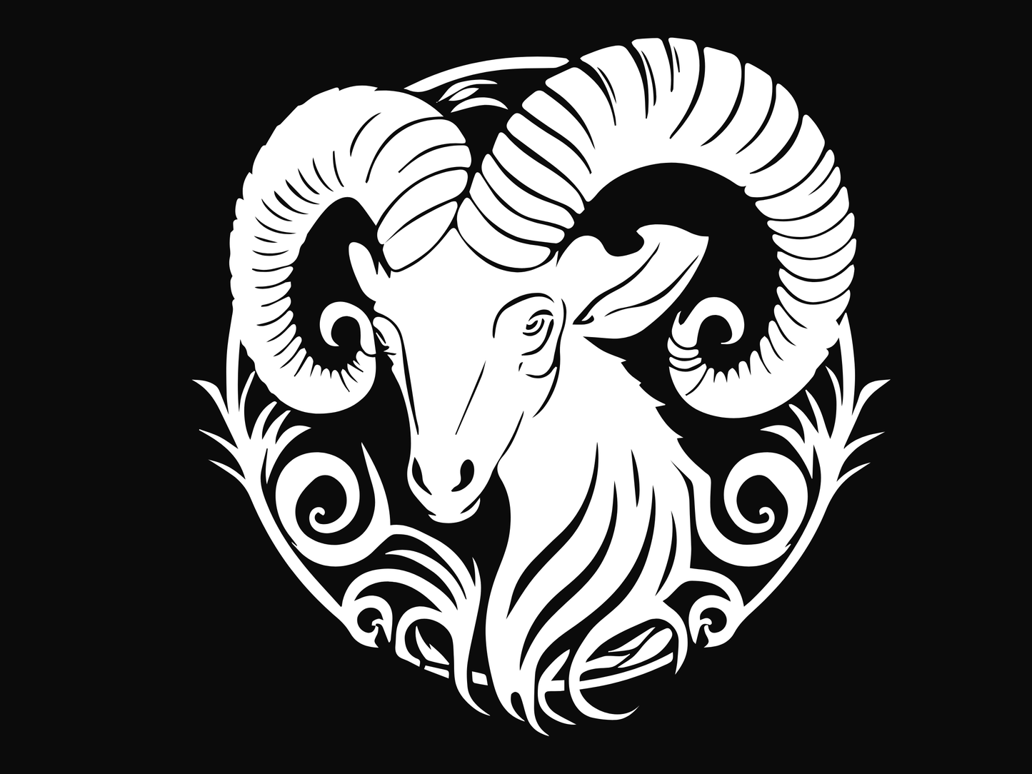 Zodiac Aries T-shirt unisex W